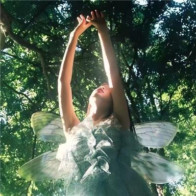 陆少的初恋又撒野了